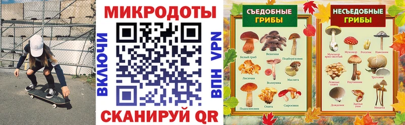 Галлюциногенные грибы прущие грибы  Купить закладки  Брюховецкая 